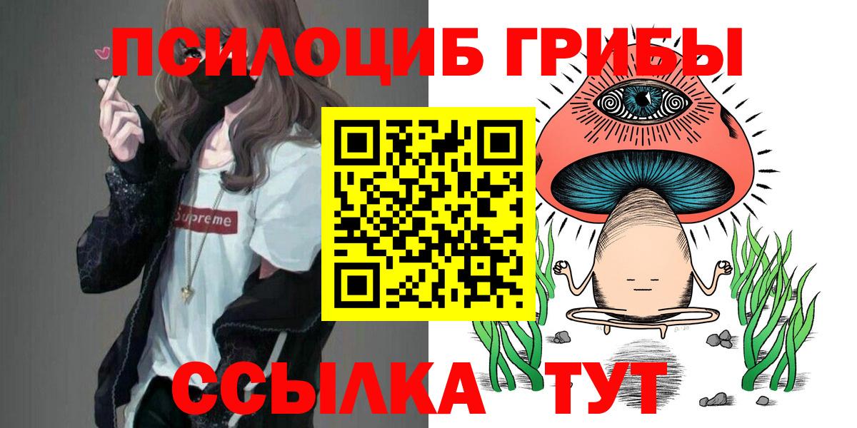 Галлюциногенные грибы прущие грибы Братск
