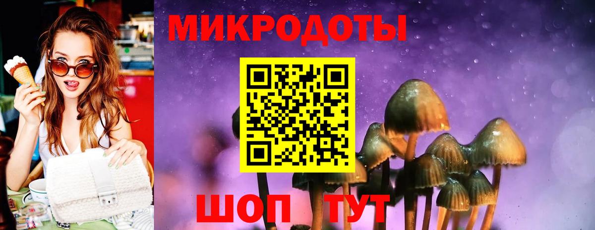 Братск  Галлюциногенные грибы Psilocybine cubensis  купить наркотик  Вход с VPN 